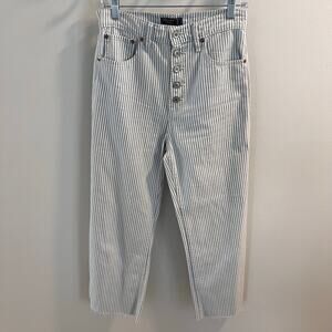 Abercrombie & Fitch Blue Striped Button Fly Pants Size 27/4R